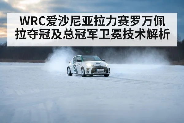 Toyota GR Yaris Rally1 car action